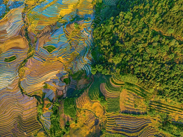 Luchtfoto van rijstterrassen in de provincie Ngai Thau Y Ty Lao Cai Vietnam Landschapspanorama van Vietnam terrasvormige rijstvelden van Ngai Thau Spectaculaire rijstvelden Gestikte panoramafoto