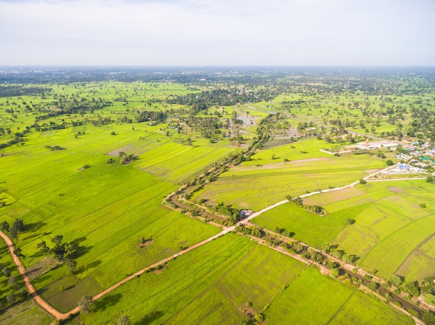 Luchtfoto van rijstvelden