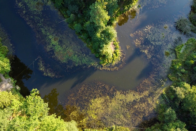 Luchtfoto van rivier en groen bos