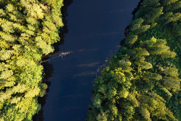 Luchtfoto van rivier en groen bos