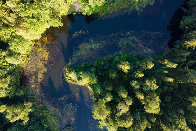 Luchtfoto van rivier en groen bos