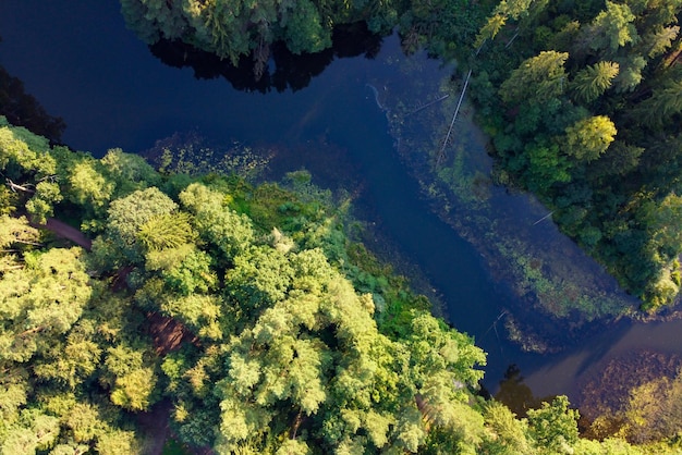 Luchtfoto van rivier en groen bos