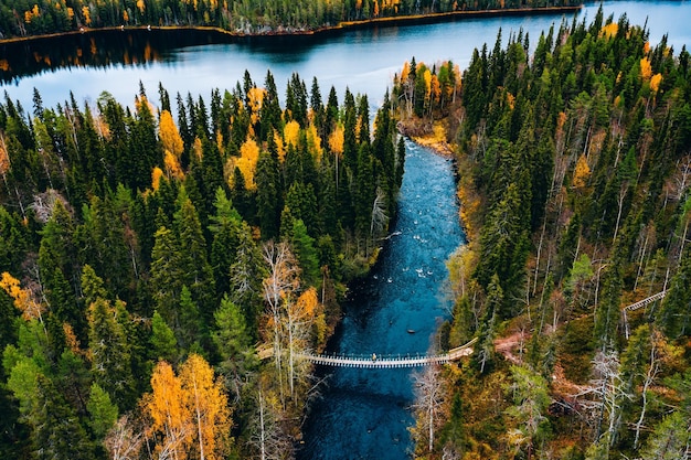 Luchtfoto van rivier met hangbrug in kleurrijk herfstbos in Finland Lapland
