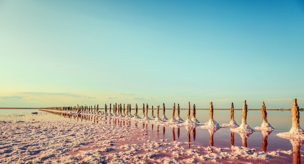 Luchtfoto van roze meer en zandstrand