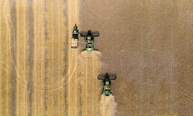 Luchtfoto van tarweoogstland van tarwe