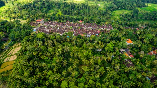 Luchtfoto van Tegallalang Green Land Village. Souvenirmarkt langs de weg bij Tegallalang.