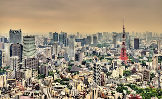 Luchtfoto van Tokio met de Tokyo Tower Japan