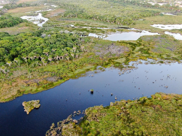 Foto luchtfoto van tropisch regenwoud jungle in brazilië wetland bos met rivier