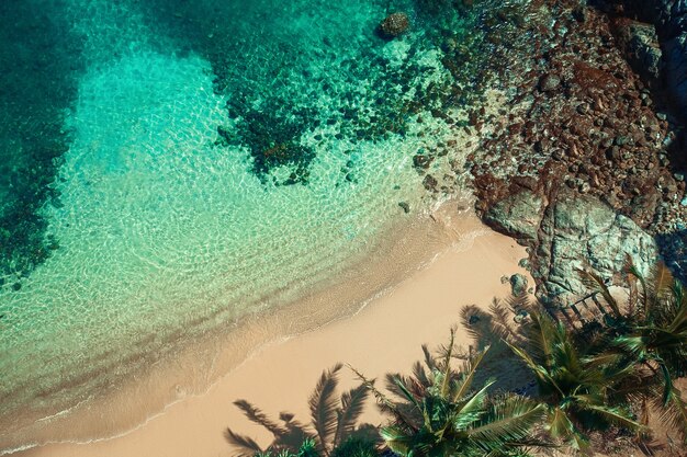 Luchtfoto van tropisch strand op een eiland met palmbomen