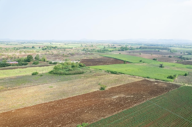 Luchtfoto van vliegende drone van veldrijst met landschap groen patroon natuur achtergrond bovenaanzicht veldrijst