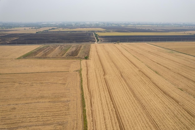 Luchtfoto van vliegende drone van veldrijst met landschap groen patroon natuur achtergrond bovenaanzicht veldrijst