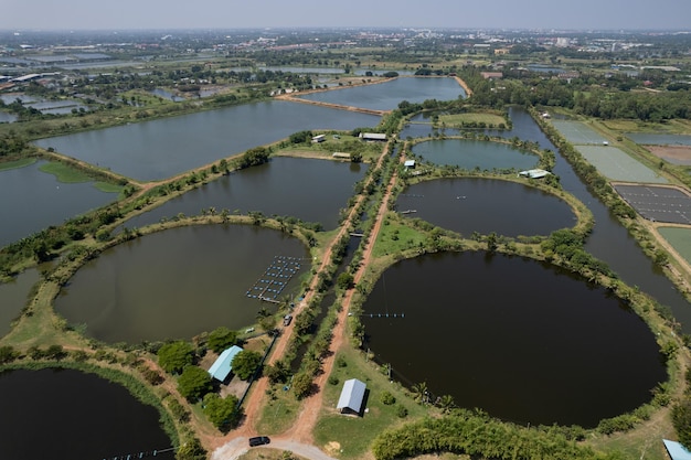 Luchtfoto van vliegende drone van Visvijver viskwekerij