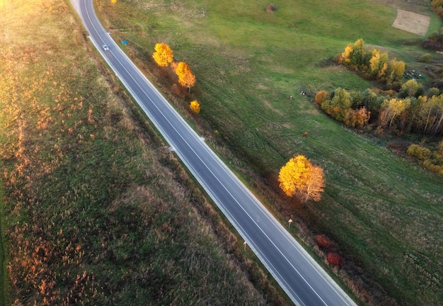 Luchtfoto van weg heuvels groene weiden en kleurrijke bomen bij zonsondergang in de herfst Bovenaanzicht van landelijke weg Prachtig landschap met rijbaan gras sinaasappelbomen in de herfst Snelweg Uitzicht van bovenaf