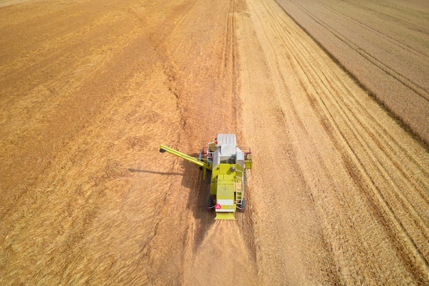 Luchtfoto van werken oogst combineren in tarweveld oogstseizoen