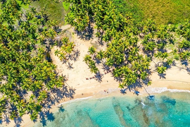 Luchtfoto van wilde Caribische tropisch strand met palmen in Dominicaanse Republiek.