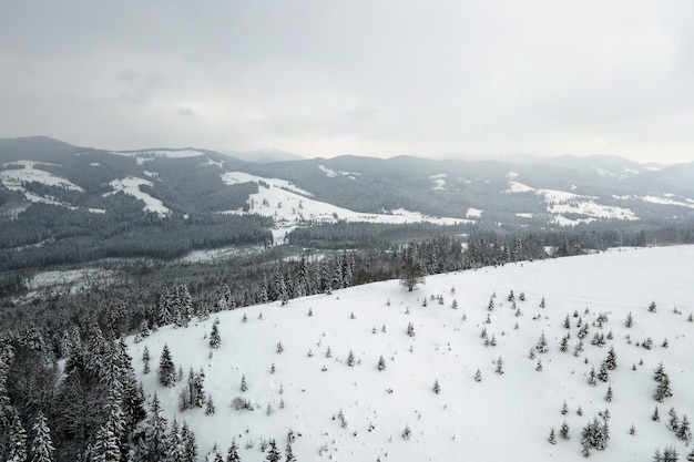 Luchtfoto van winterlandschap met bergheuvels bedekt met groenblijvend dennenbos na zware sneeuwval op koude rustige avond.