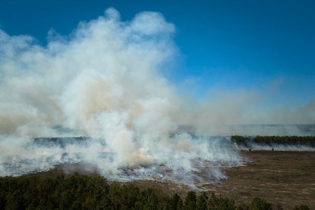 Luchtfoto van witte rook van bosbrand die opstijgt in vervuilende atmosfeer natuurrampconcept