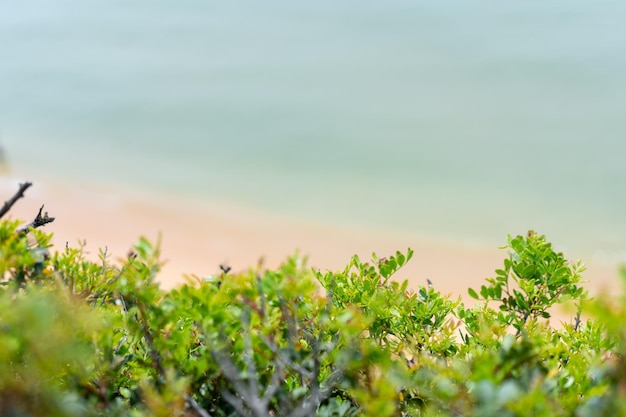 Luchtfoto van zeegolven en zandstrand