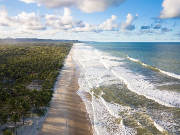 Luchtfoto verlaten strand met kokospalmen aan de kust van Bahia, Brazilië.