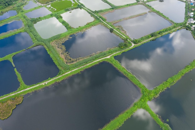 Luchtfoto Viskwekerijvijver