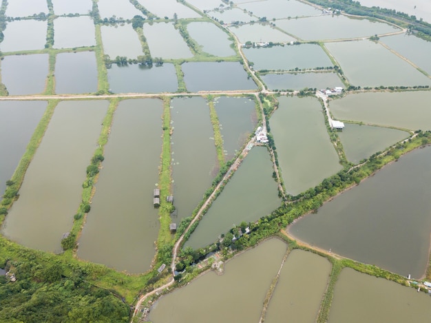 Luchtfoto Viskwekerijvijver