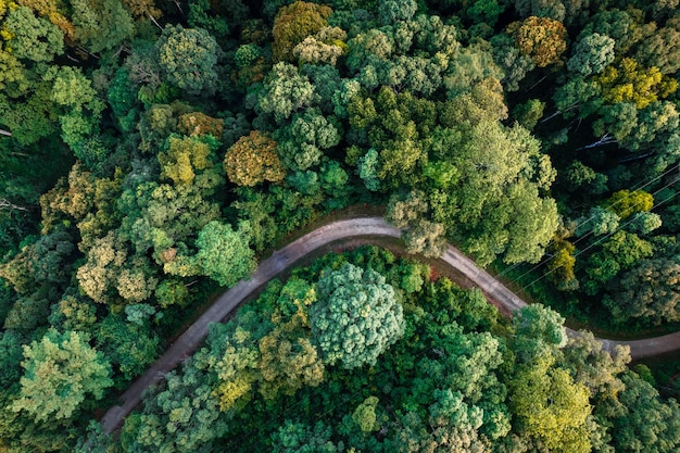 Luchtfoto weg door groen bos