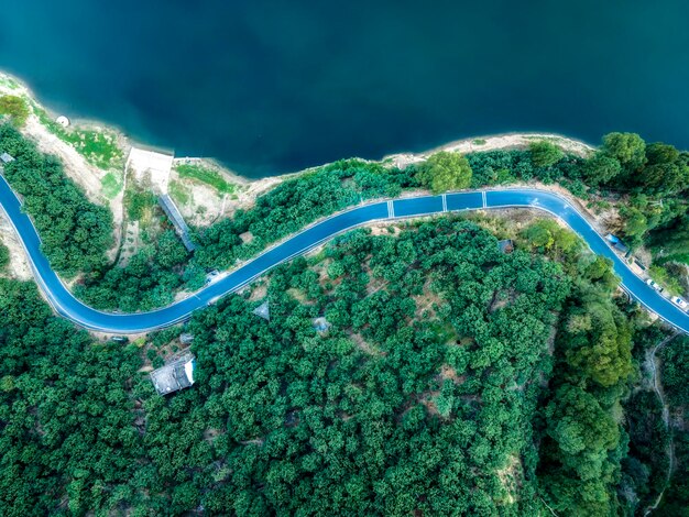 Luchtfotografie buiten bosweg