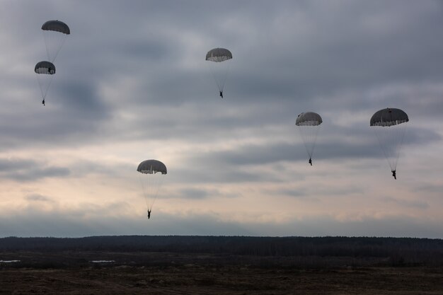 Luchtlandingstroepen van de Oekraïense strijdkrachten