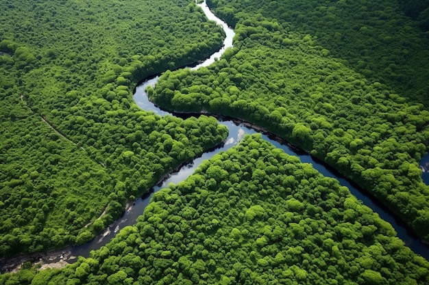 Luchtlandschap van de Serenity River Bend