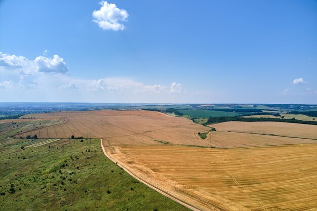 Luchtlandschap van een geel gekweekt landbouwveld met rijpe tarwe op een heldere zomerdag