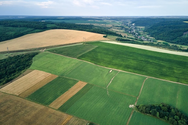 Luchtlandschap van groene en gele landbouwvelden met groeiende gewassen op een heldere zomerdag