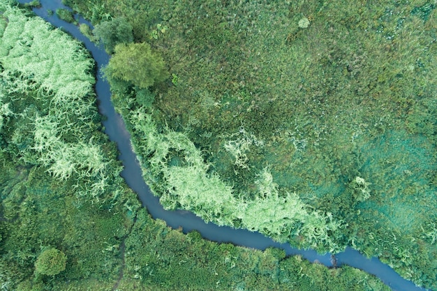 Luchtlandschapsmening over de rivier Rusland