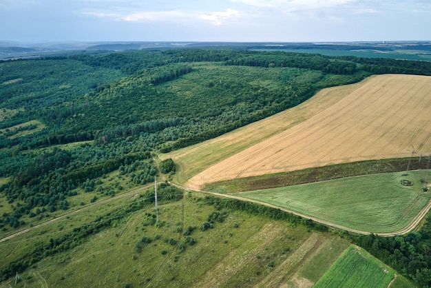 Luchtlandschapsmening van groene en gele gecultiveerde landbouwgebieden met groeiende gewassen op heldere zomerdag