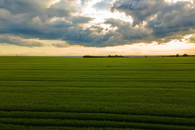 Luchtlandschapsmening van groene gecultiveerde landbouwgebieden met groeiende gewassen op heldere zomeravond