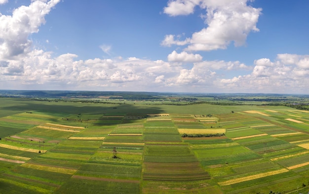 Luchtlandschapsmening van groene gecultiveerde landbouwgebieden met groeiende gewassen