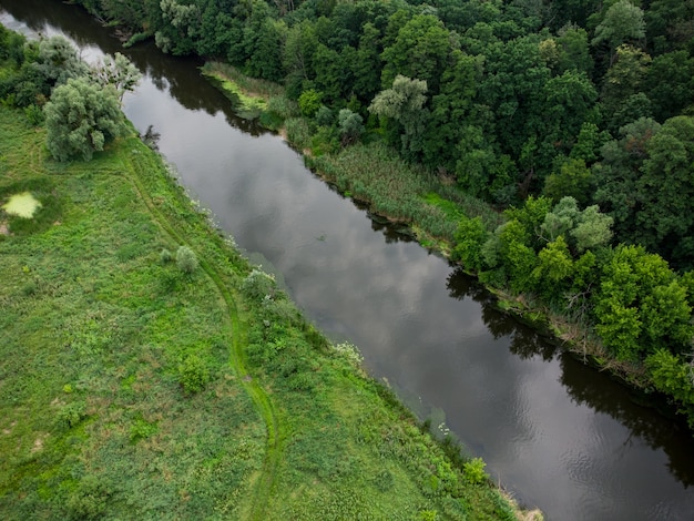 Luchtmening over de rivier die op het groene bos is.