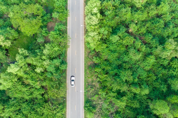 Luchtmening van de weg die het bos met een voorbij passerende auto overgaat