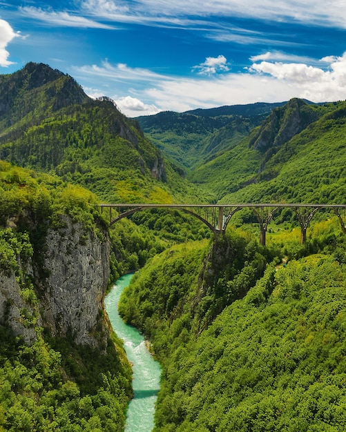 Luchtmening van djurdjevica-brug over de rivier tara in montenegro, europa