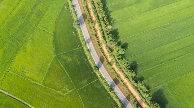 Luchtmening van groene padievelden met weg in Thailand