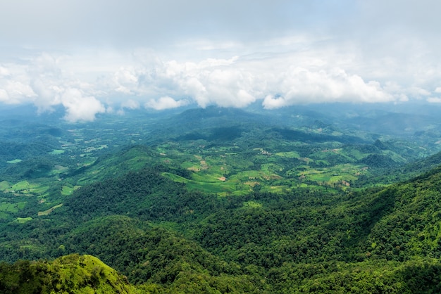 Luchtmening van landbouwkundig gebied in het landschap van de bergvallei in regenwoud.