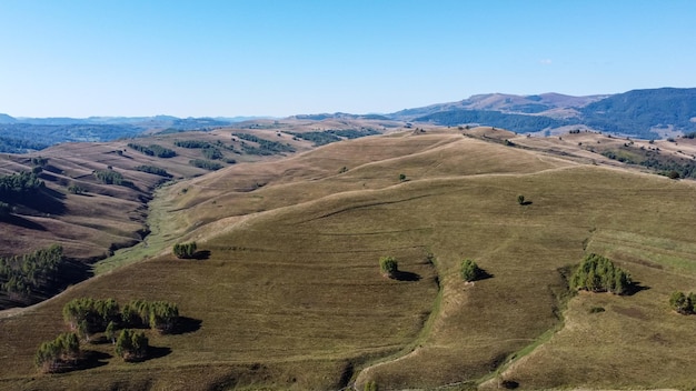 Luchtmening van toneelheuvels in Apuseni-bergen van Roemenië.