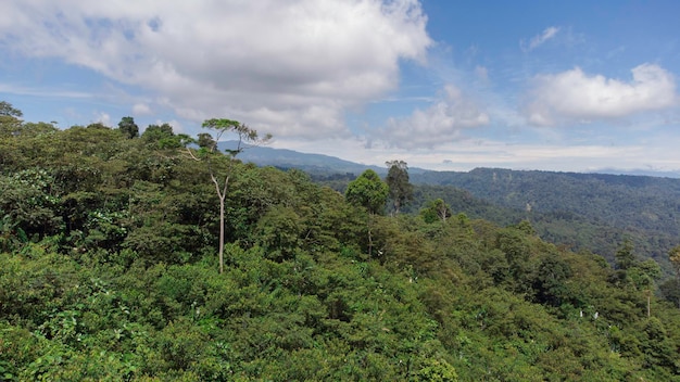 Luchtmening van tropisch bos, Atjeh, Indonesië