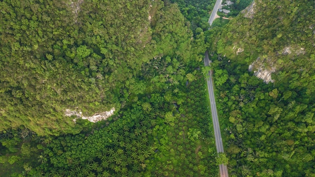 Luchtmeningslandschap van Boom of bos, Krabi Thailand