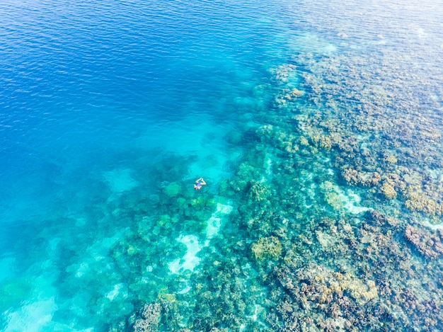 Luchtmensen die op koraalrif tropische Caraïbische overzees, turkoois water snorkelen