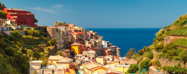 Luchtpanorama van het vissersdorp Manarola in vijf landen, Nationaal Park Cinque Terre, Ligurië, Italië.