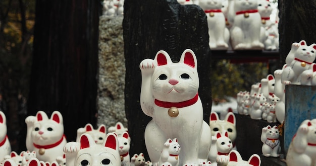 Foto figura di gatto fortunato e tempio shintoista con cultura del santuario o foresta per il desiderio fede o zen nell'ambiente giocattoli per animali e pace con culto religioso o buddismo con simbolo di icona o onda in giappone