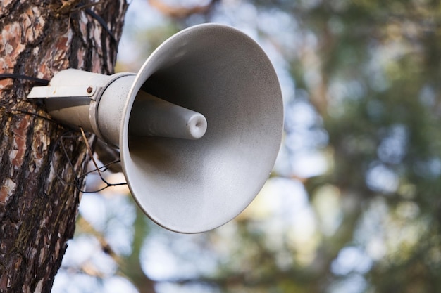 Luidspreker op een boom, close-up