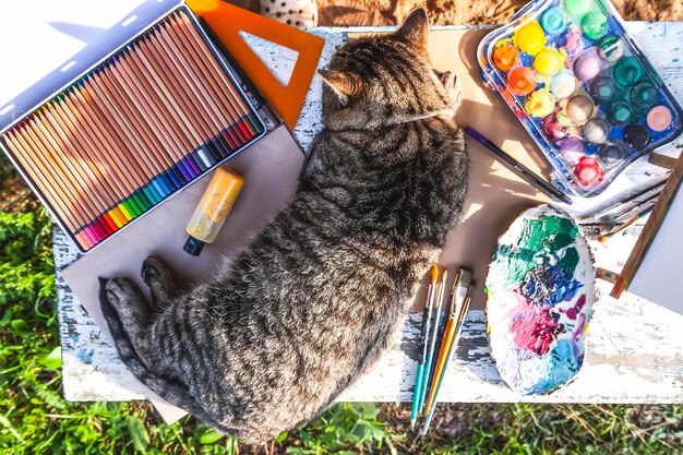 Luie kat liggend op tafel met schoolspullen