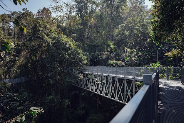 Luifel loopbrug bij Queen Sirikit botanische tuin ChiangmaiThailand