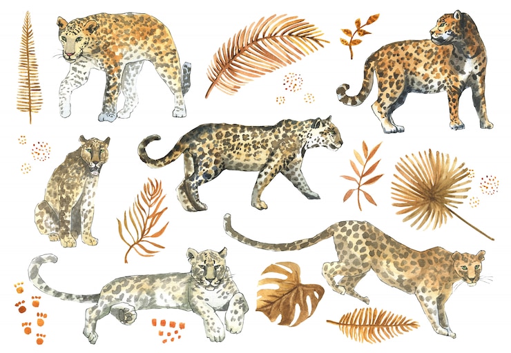 Foto luipaard, jaguar katten dier set met tropische gouden bladeren